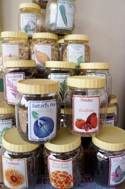 Vanya seeds